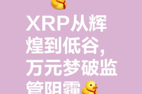 专家称XRP将在年底冲破SOL美元，引发引发关注的简单介绍-半岛体育官网