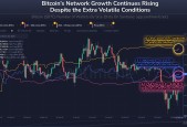 数据显示，私链交易量再创新高
