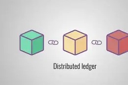 开发者社区动态显示，公链或将改变传统金融格局-半岛体育官网