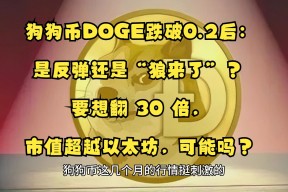 狗狗币上扬势惊人，一夜飙升2.84%，加密市场沸腾-半岛体育官方网站