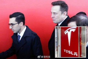 关于马斯克再次发推，Gate瞬间上上扬14%！的信息-半岛体育官网