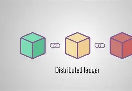 开发者社区动态显示，公链或将改变传统金融格局