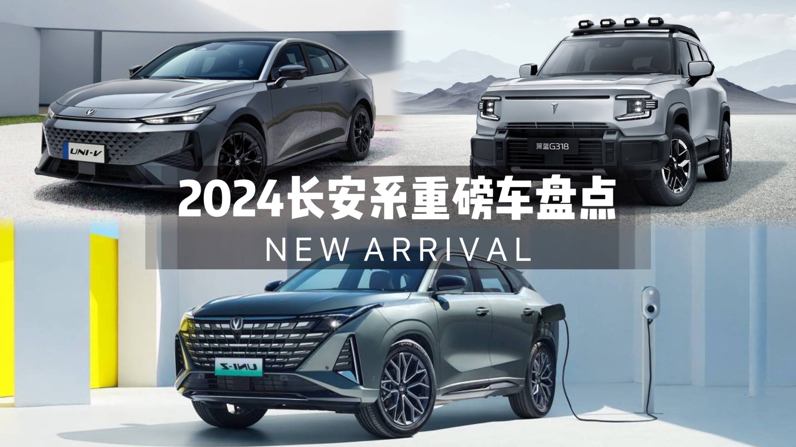UNI遭遇大幅下滑超260%，投资者恐慌性抛售